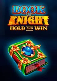 Book of Knight Hold and Win pokie at Winshark Casino Book of Knight Hold and Win pokie at Winshark Casino